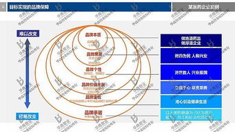 劉春華老師解讀 2017年度公司目標(biāo)設(shè)計(jì)與營銷戰(zhàn)略規(guī)劃